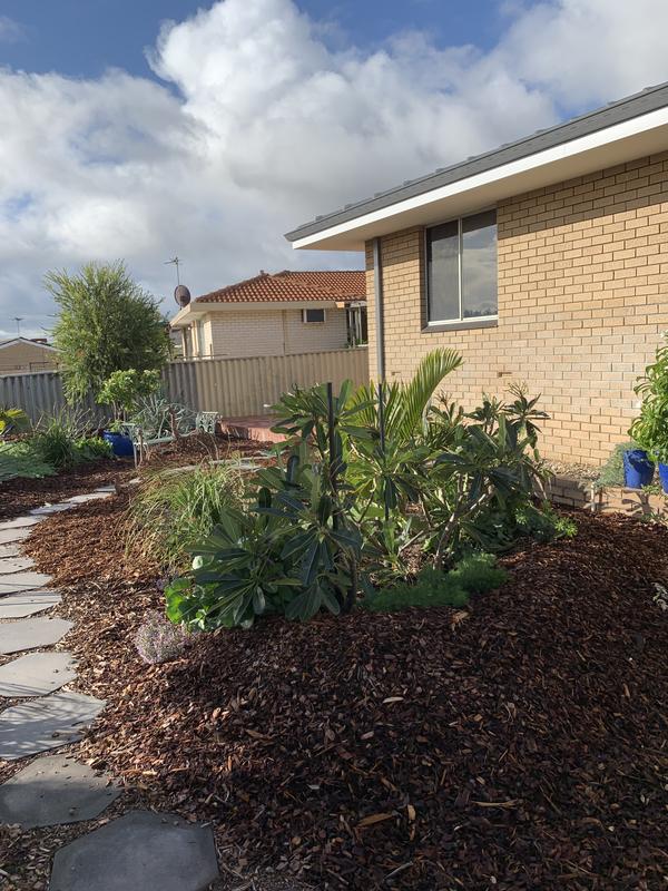 Bunnings Garden Mulch Fasci Garden