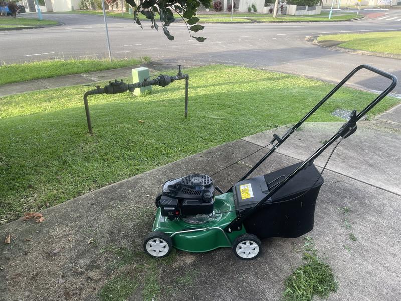 Bunnings cheetah lawn mower new arrivals