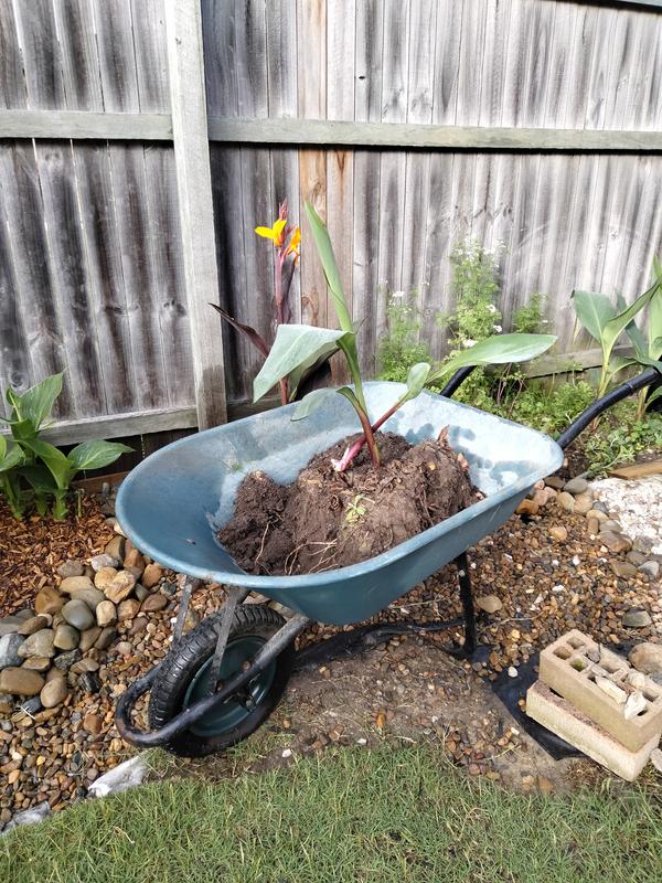 Saxon wheelbarrow deals bunnings