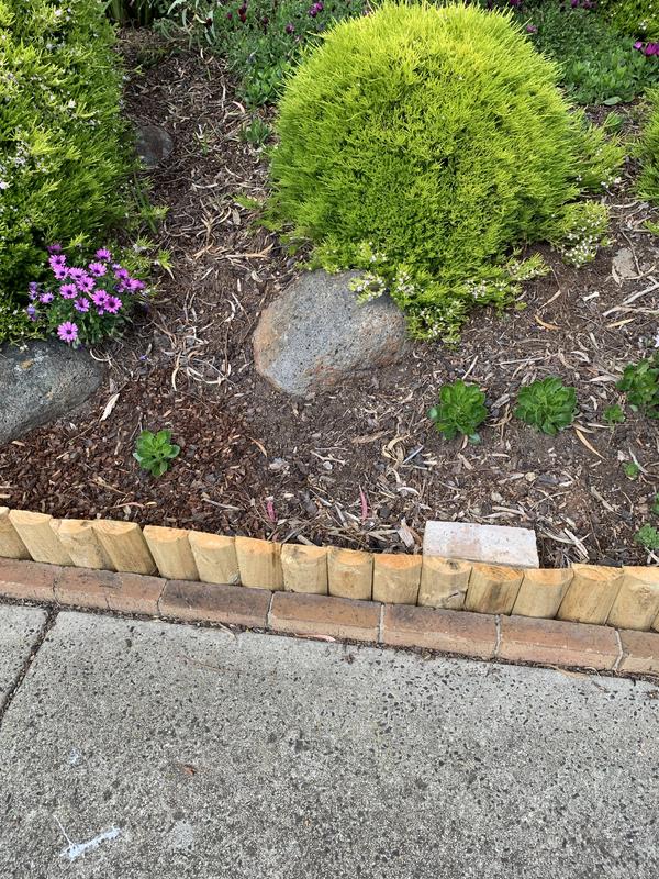 Garden Edging Bunnings Concrete Fasci Garden