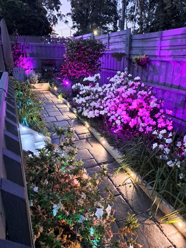 Brilliant store garden lights