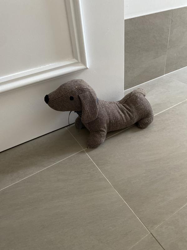 Dog door outlet stop australia