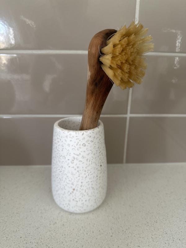 Buy Soap Dispensing Palm Dish Brush - Sabco