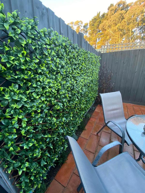 Garden Trellis Bunnings Warehouse Fasci Garden