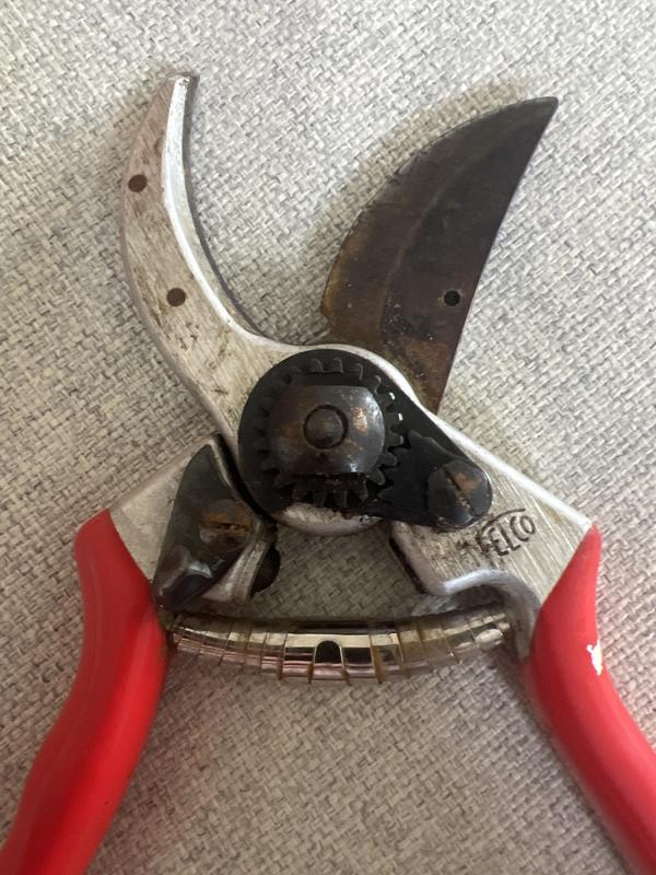 Long handled store secateurs bunnings