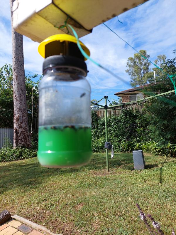 Envirosafe Fly Swat - Bunnings Australia