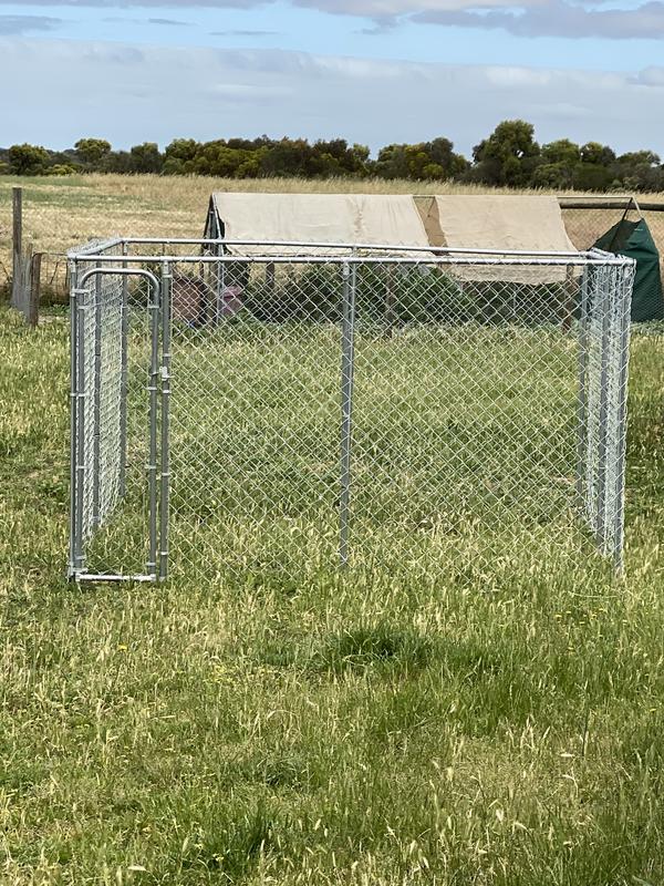 Bunnings dog outlet run