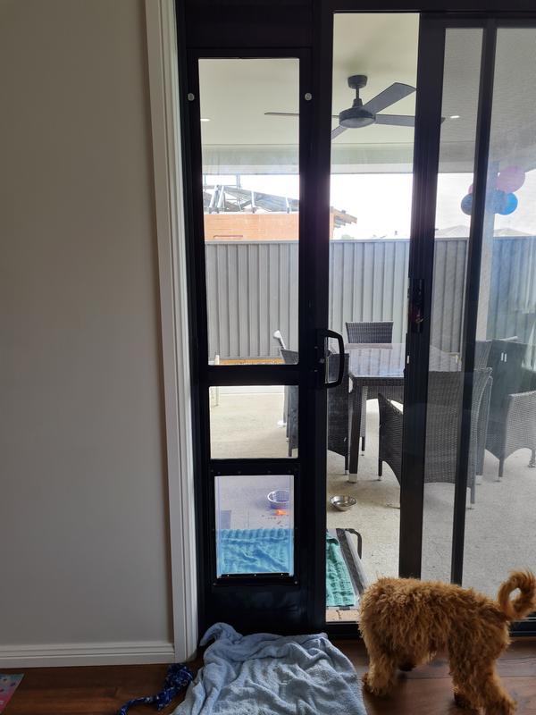 Dog door sliding door sales bunnings