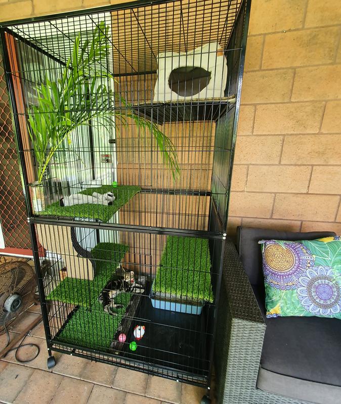 Diy cat outlet enclosure bunnings