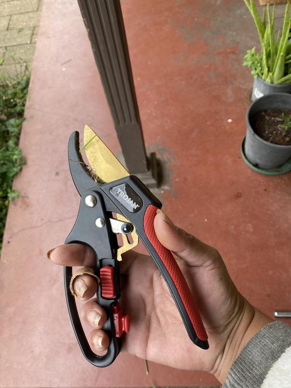 Ratchet pruners online bunnings