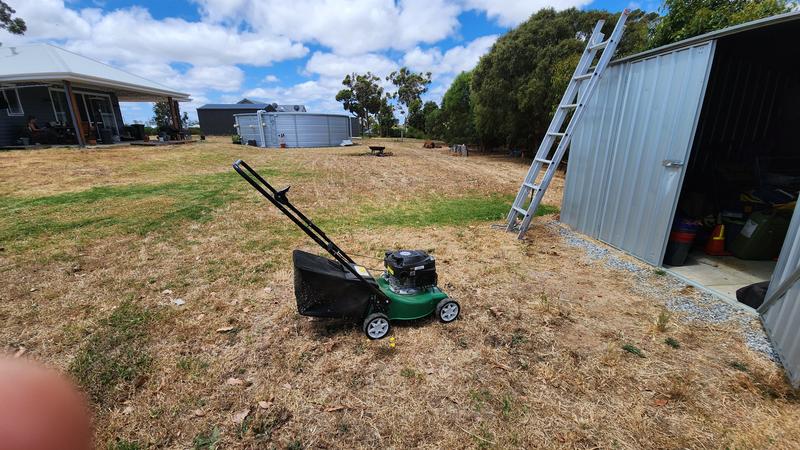 Cheetah lawn mower online bunnings