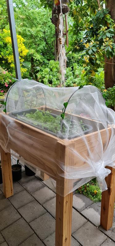 Jack Pest Control Outdoor Grow Tunnel