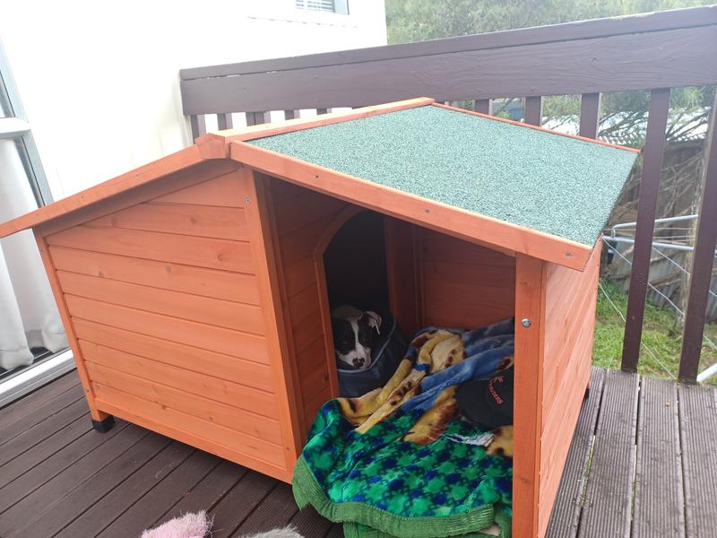 Bunnings dog hot sale kennel