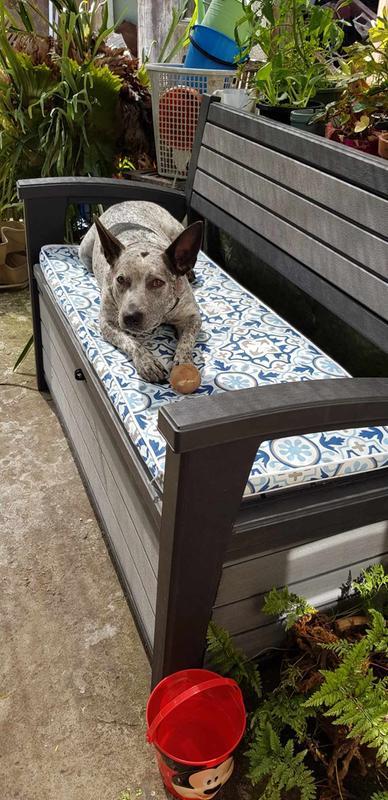 Bunnings keter storage bench discount