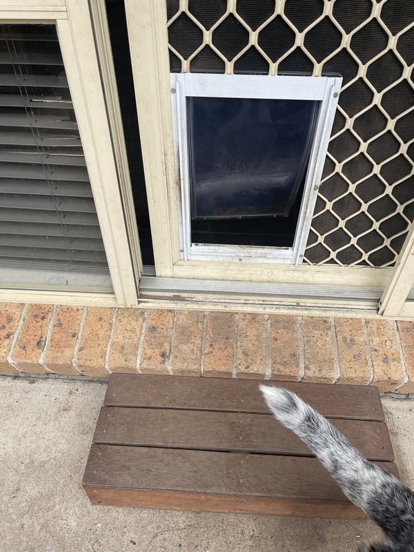 Hartman pet hotsell door replacement flap