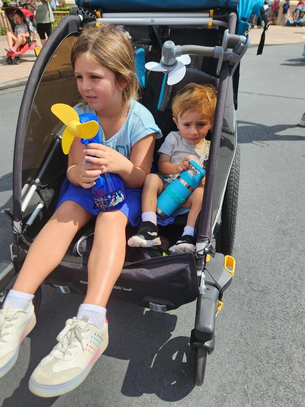 burley double jogger