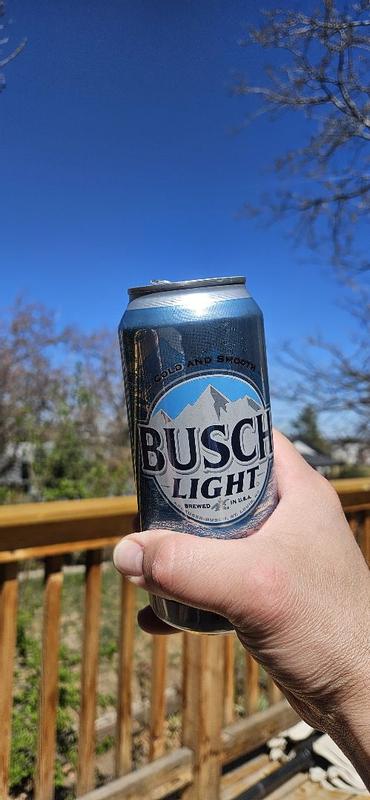 Buy Busch Light American Lager Beer 30 Pack, 12 fl oz Cans from