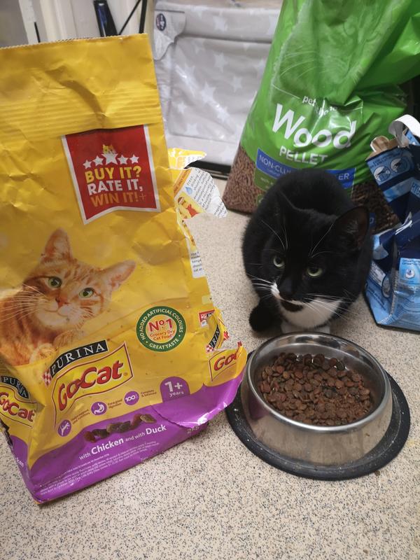 is go cat food good