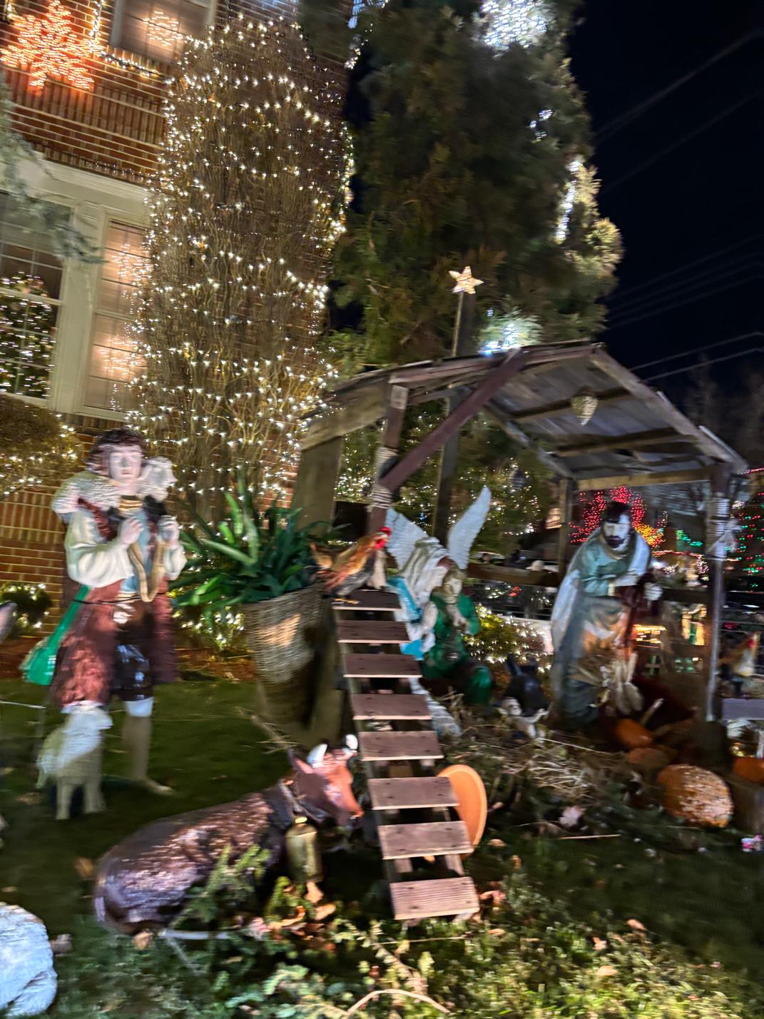 Christmas Lights Walking Tour of Brooklyn | The New York Pass®