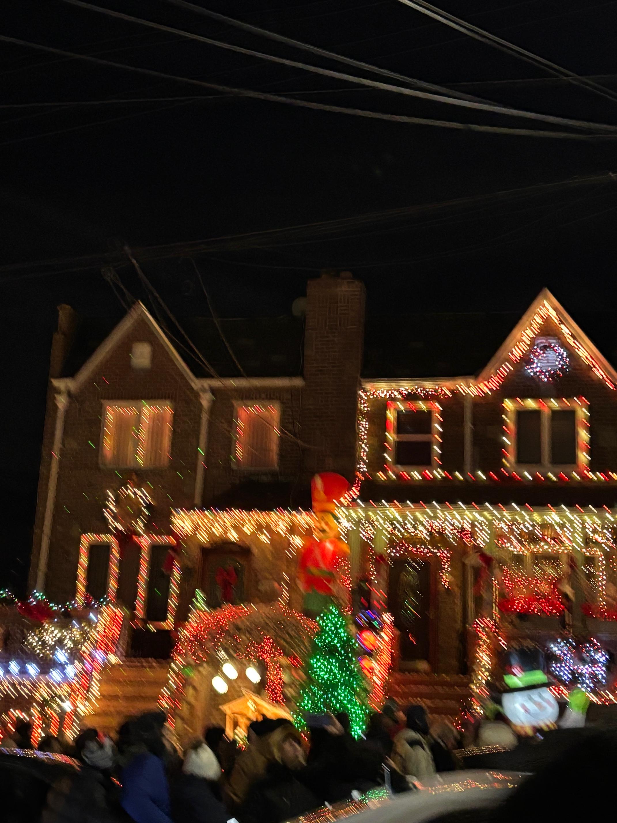 Christmas Lights Walking Tour of Brooklyn | The New York Pass®