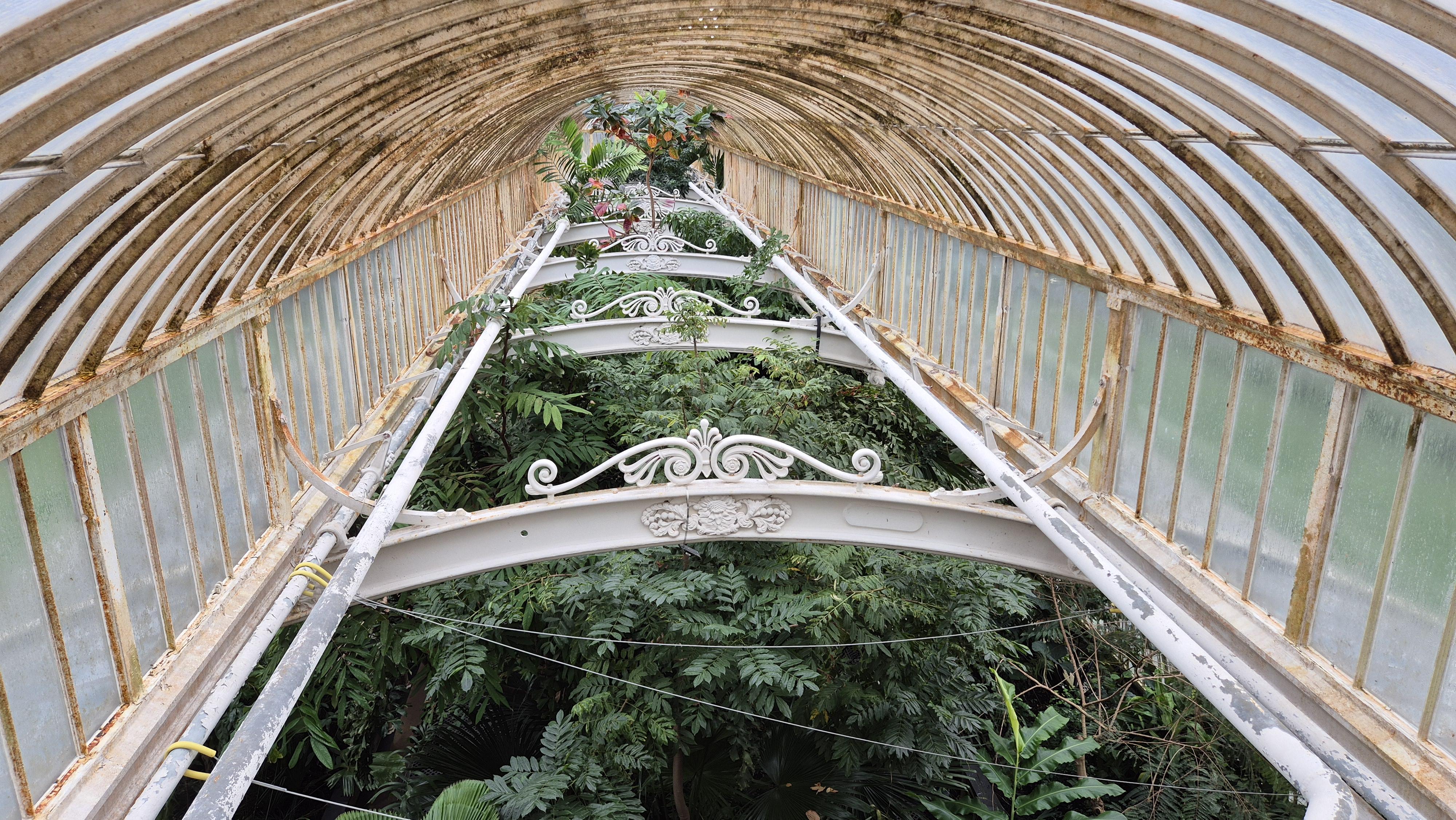 キュー・ガーデン | 割引チケット | The London Pass®