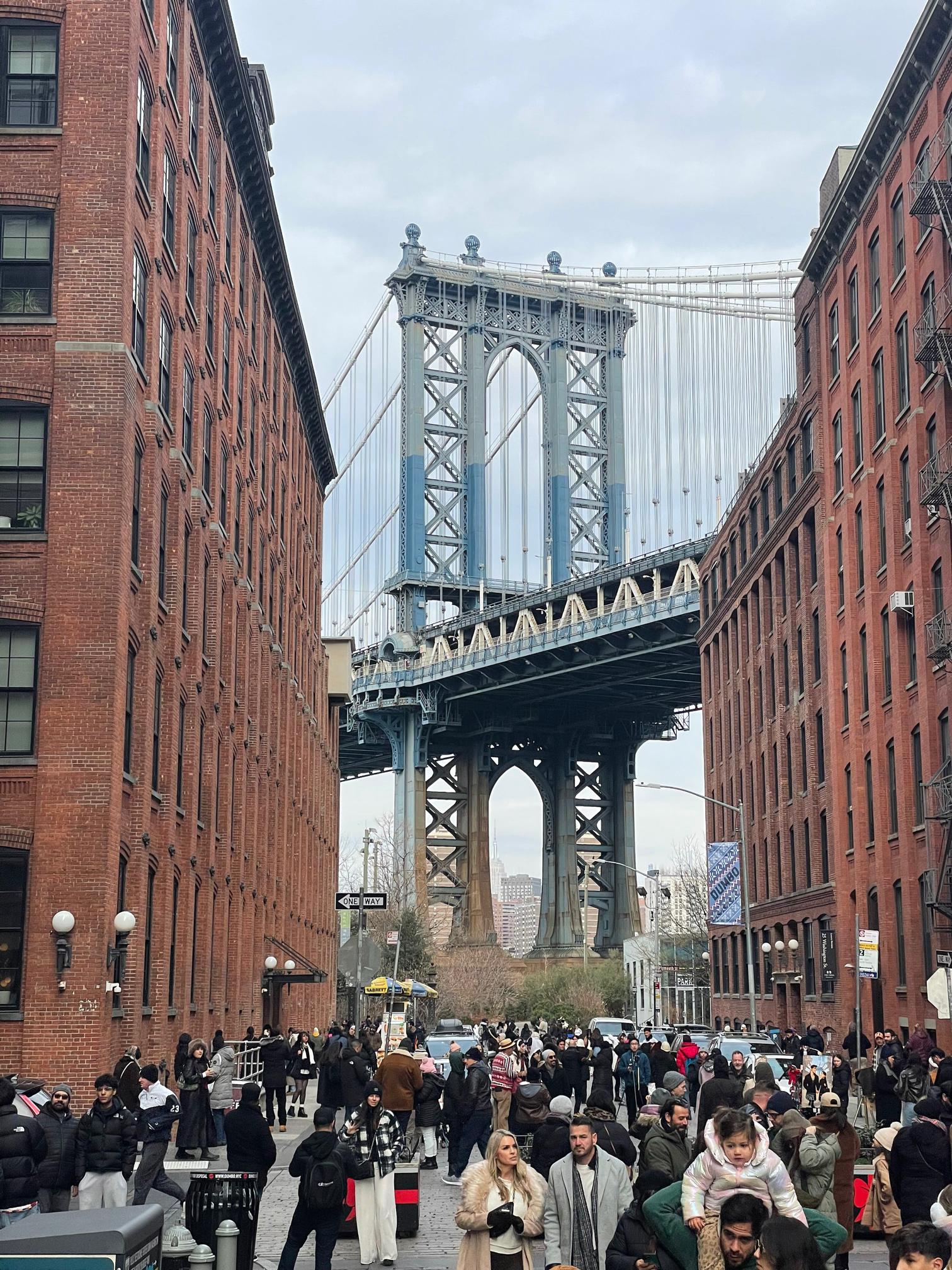 ニューヨーク市（NYC）区：ブルックリン、ブロンクス、ハーレム