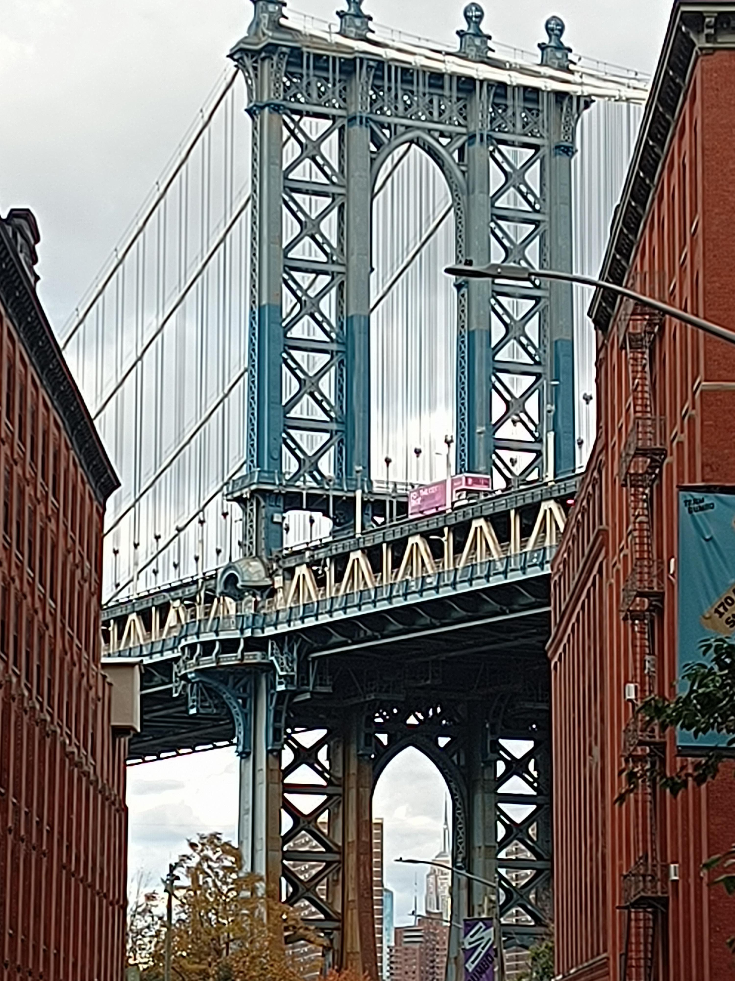 ブロンクス、ブルックリン、クイーンズを巡るニューヨークバスツアー