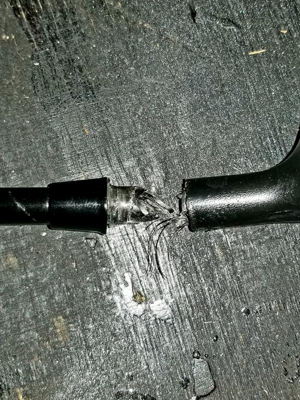 Photo submitted with review of product