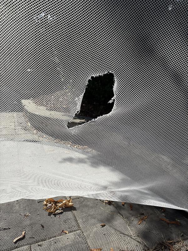 Photo submitted with review of product