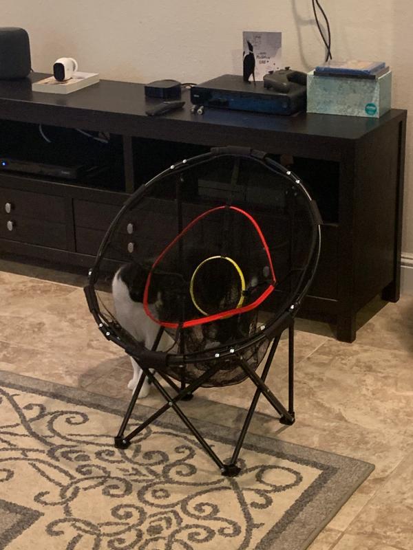 Photo submitted with review of product