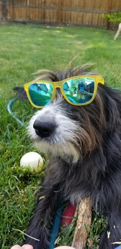 User uploaded product image