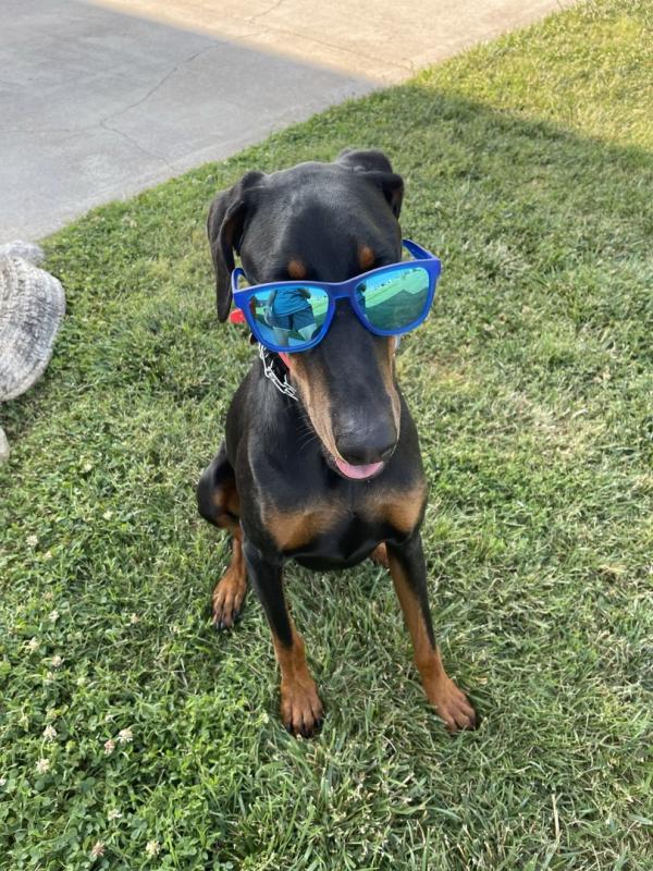 User uploaded product image