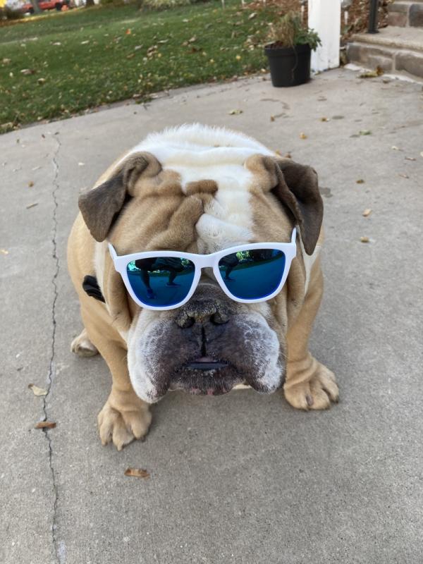 User uploaded product image