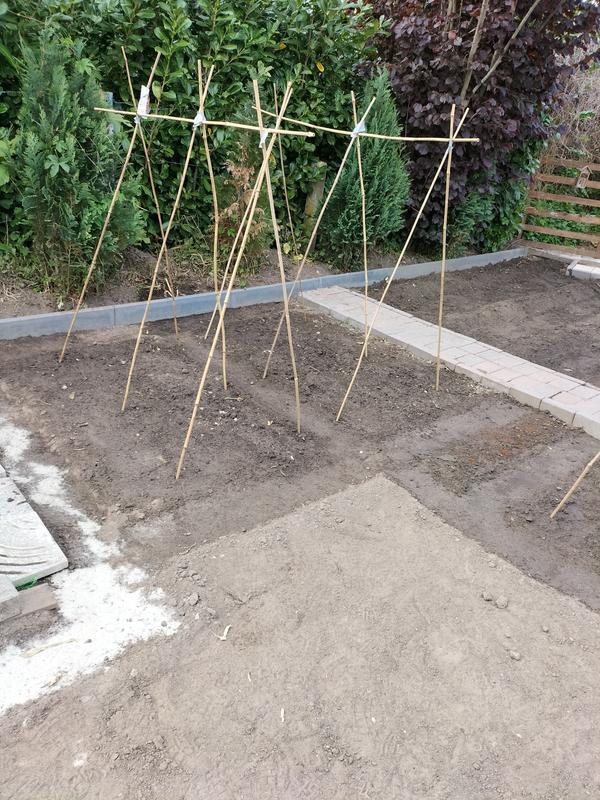 Plantenrek Bamboe kopen? Rek voor klimplanten (70x180cm