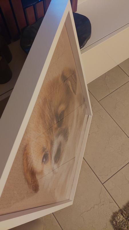 FRAMO Acrylplaat 100 x 50 cm op maat gesneden | 3 mm dikke zeer