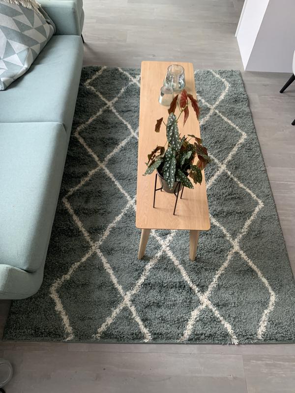 Cekene Grote wasbare vloerkleden voor woonkamer, 160 x 230 cm, groene