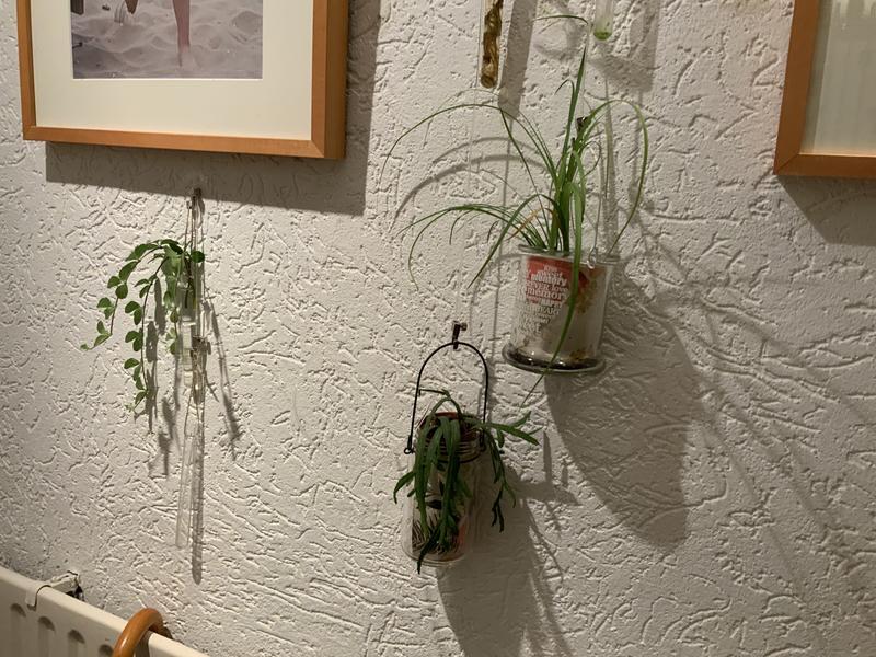 een paar extra grote 60mm glas kristal gordijn houden rugzakken Tie