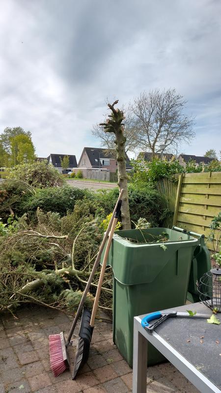 Grensoverschrijdende Ergonomische Tuingereedschapset Mini Doe Het Zelf Wiethandg