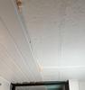 PIR Agnes plafondplaten & wandplaten kopen? | Isolatieshop | De