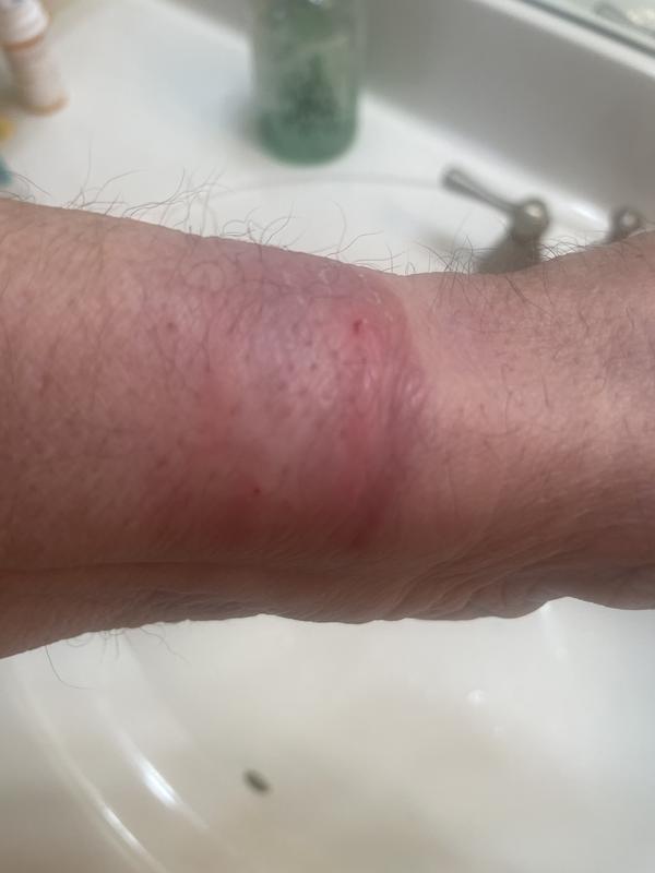 Photo submitted with review of product