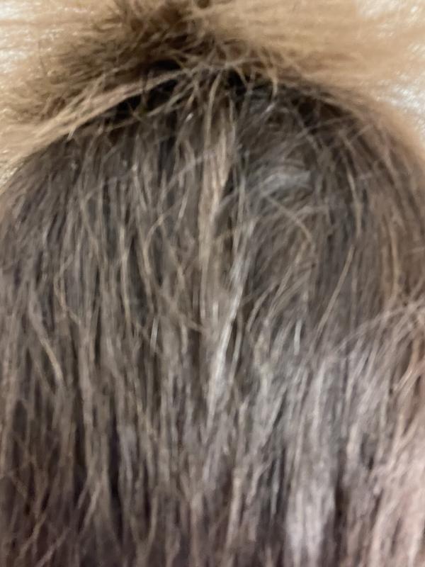 Ohne graue Haare