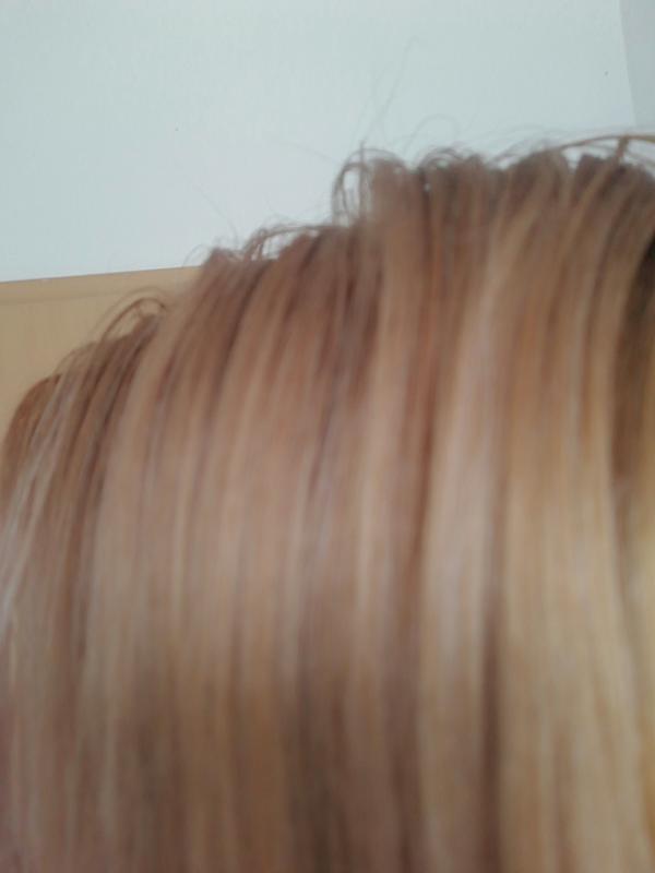 Garnier Nutrisse Ultra Creme 8N