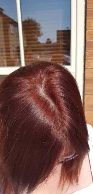 3 6 Deep Reddish Brown Garnier Nutrisse