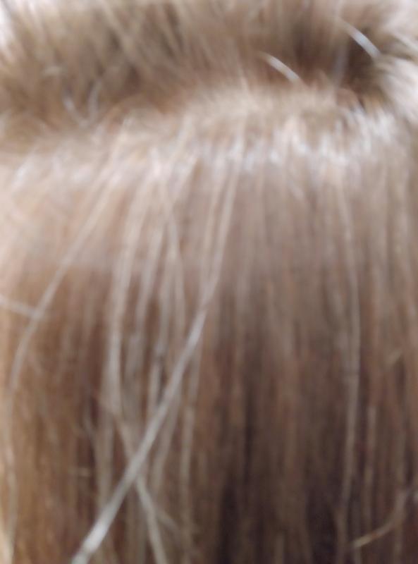Mis canas