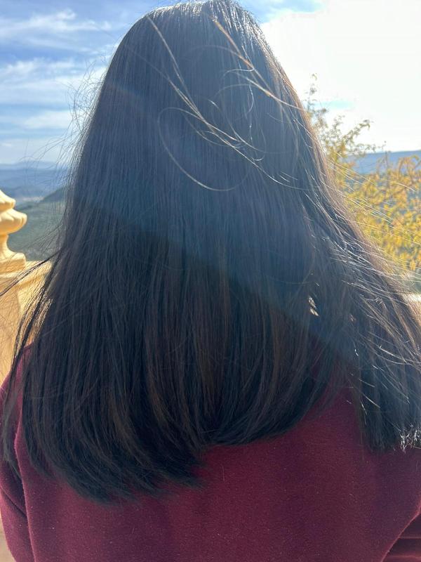Pelo luminoso