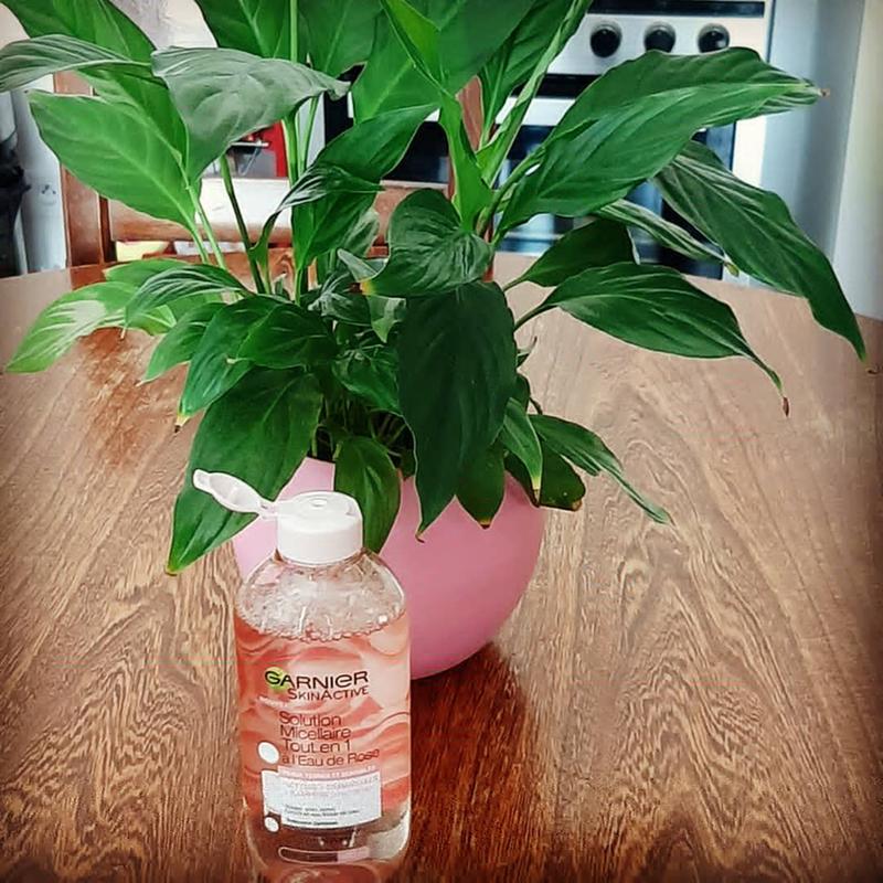 Garnier