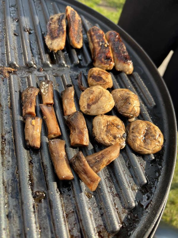 User generated review image 2