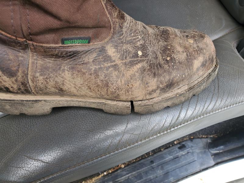 Photo submitted with review of product