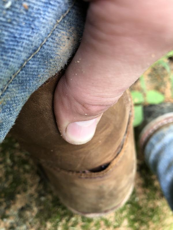 Photo submitted with review of product