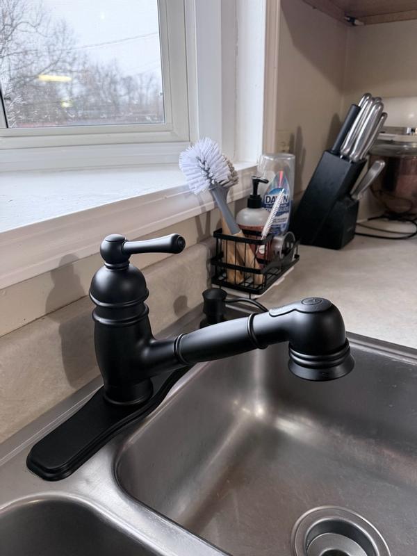 Opulence® Single Handle Pull-Out Kitchen Faucet